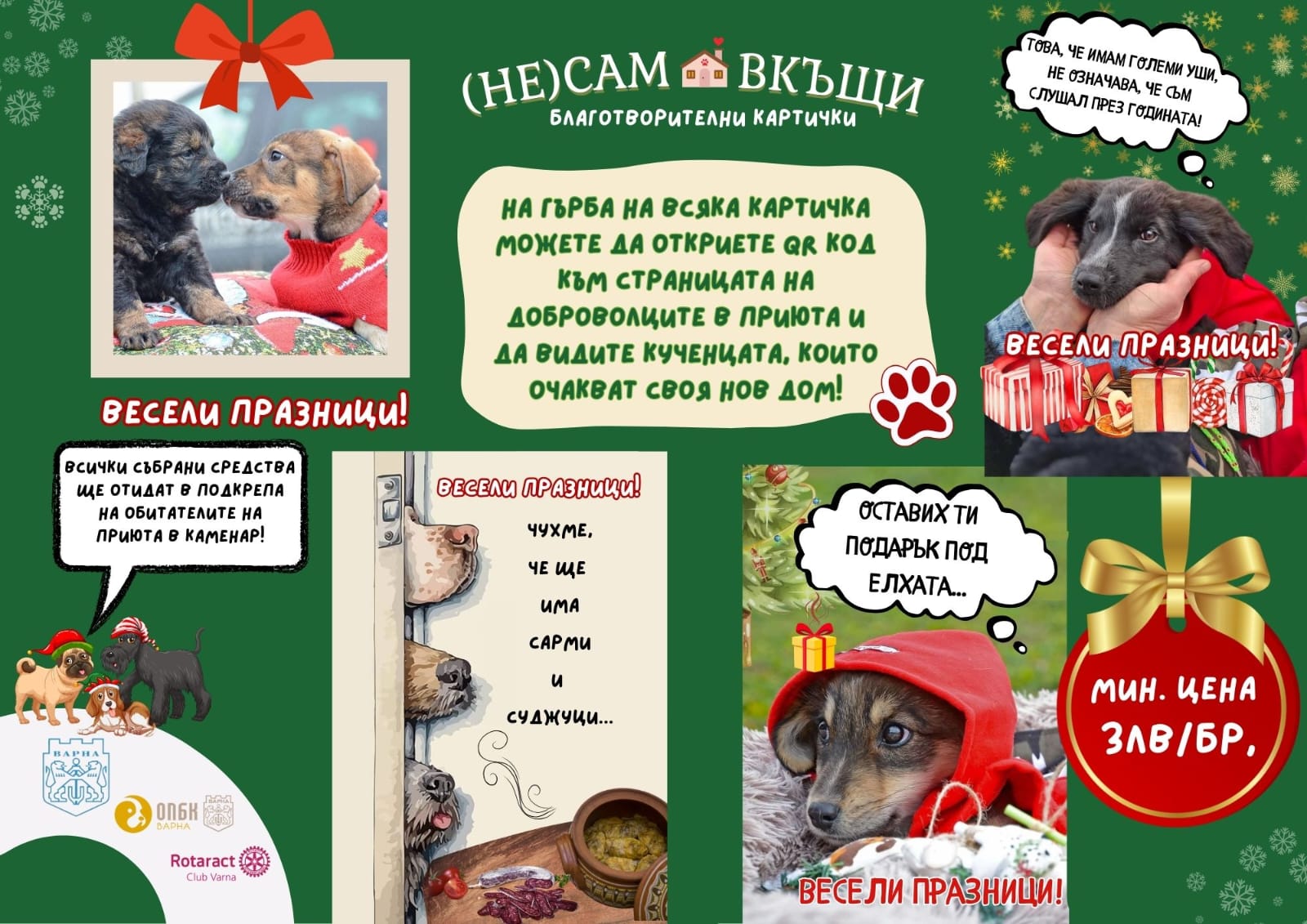 Благотворителни Картички: Подкрепа за кучешкия приют в с. Каменар ❤️