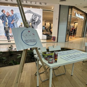 project gallery image
