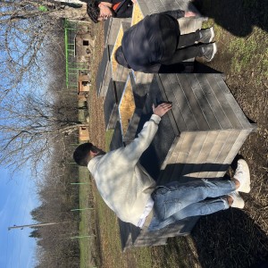 project gallery image