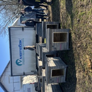 project gallery image